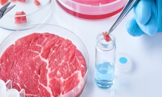 Лабораторный анализ пищевых продуктов по СанПиН в Белорецке в октябре