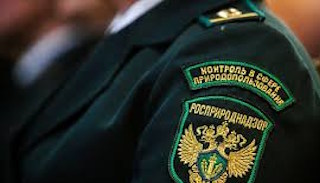 Подготовка к проверке Росприроднадзора в Белорецке от ПромМир, стоимость услуги от 20274 руб.